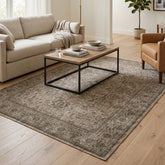 Aspero Rugs