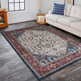Aspero Rugs