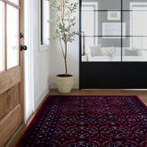 سجاد كازكافي