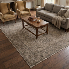 Aspero Rugs
