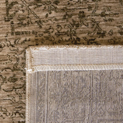 Aspero Rugs