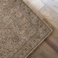 Aspero Rugs