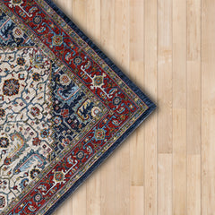 Aspero Rugs