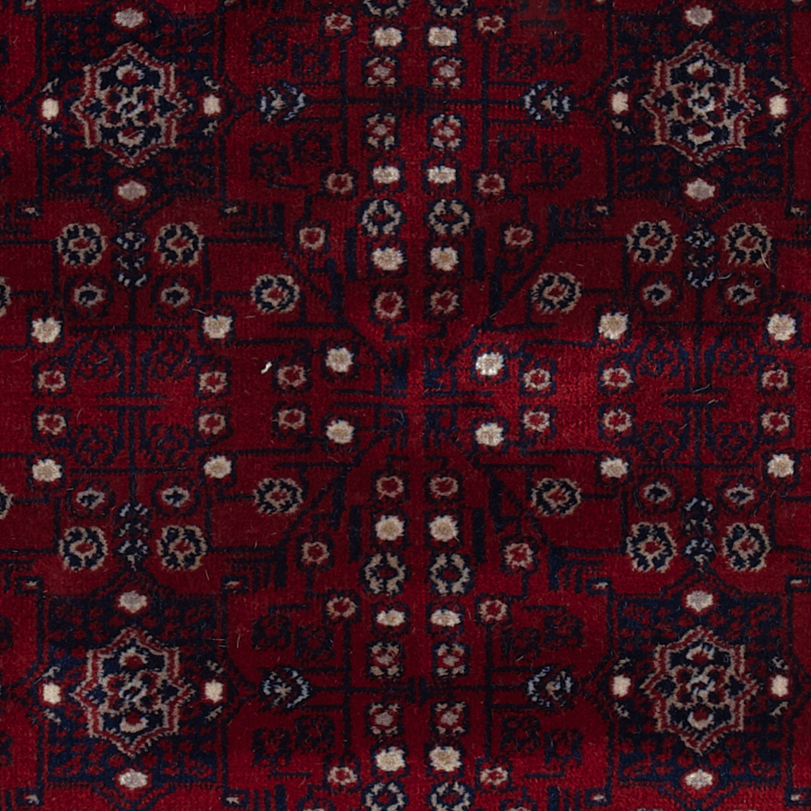 Kafkazi Rugs
